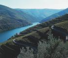 Circuit Nord du Portugal, Porto et la vallée du Douro