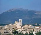 Provence - Camargue