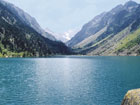 Pyreneeën