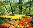 Zuid Holland