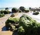 Algarve