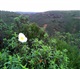 Algarve