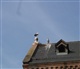 Alsace - Lorraine