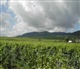 Alsace - Lorraine