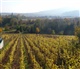 Alsace - Lorraine