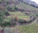 Alsace - Lorraine