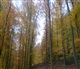 Alsace - Lorraine