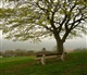 Les Ardennes