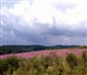 Les Ardennes