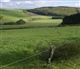 Les Ardennes