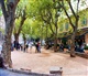 Côte d'Azur
