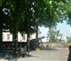 Bonn