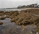Bretagne