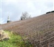 Champagne-Ardenne
