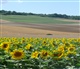 Champagne-Ardenne