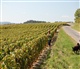 Champagne-Ardenne