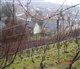 Champagne-Ardenne