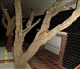 Champagne-Ardenne