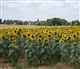 Champagne-Ardenne