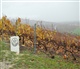 Champagne-Ardenne