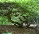 Champagne-Ardenne