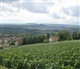 Champagne-Ardenne