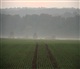 Champagne-Ardenne