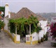 Centro Portugal