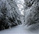 Eifel