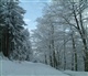 Eifel