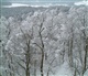 Eifel