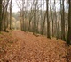 Eifel