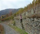 Eifel