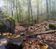 Eifel