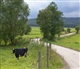 Eifel
