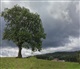 Eifel