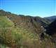 Eifel