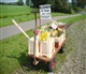 Friesland