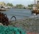 Belgische Kust