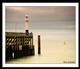 Belgische Kust