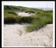Belgische Kust