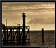 Belgische Kust