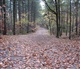 Limburg