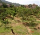 Mallorca