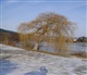 La Moselle
