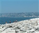 Naples