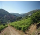 Nord du Portugal