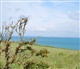 Nord - Pas de Calais - Picardie
