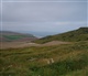 Nord - Pas de Calais - Picardie