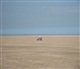 Nord - Pas de Calais - Picardie